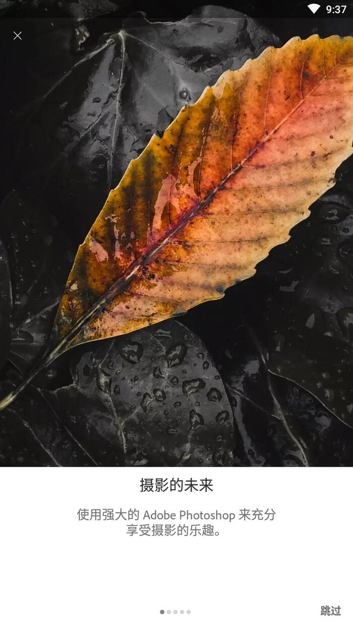 Lightroom高级版图2