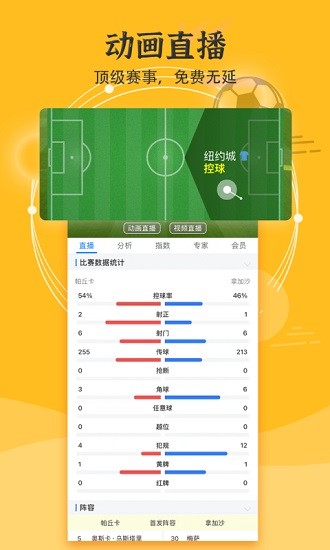 硬球比分图3