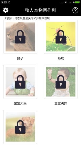 整人宠物恶作剧图1