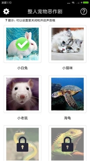 整人宠物恶作剧图3