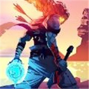 死亡细胞2.16